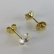 Brinco Pequeno Ponto de Luz Banhado em Ouro 18k - Dourado