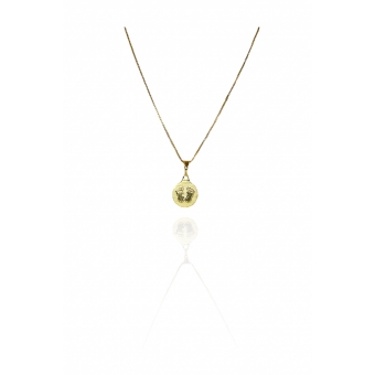 Colar Pingente Reticulado com Pé Banhado em Ouro 18k