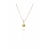 Colar Pingente Reticulado com Pé Banhado em Ouro 18k - Dourado