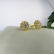 Brinco Formato Flor com Mini Zircônias Banhado em Ouro 18k - Dourado