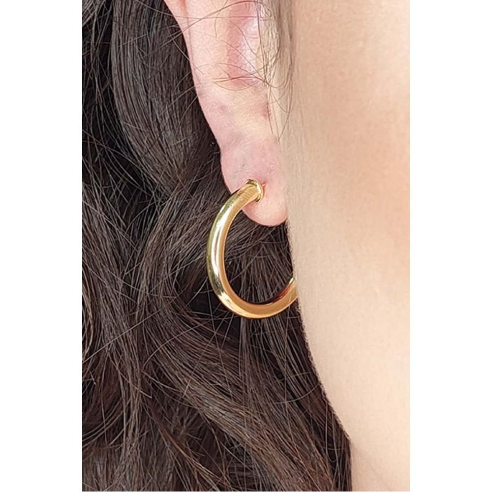 Brinco Argola Grossa Pequena Banhado em Ouro 18k - Dourado