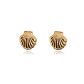 Brinco de Concha Banhado em Ouro 18k - Dourado