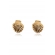 Brinco de Concha Banhado em Ouro 18k - Dourado