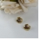 Brinco de Concha Banhado em Ouro 18k - Dourado