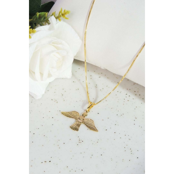 Colar Pingente do Espírito Santo Banhado em Ouro 18k - Dourado