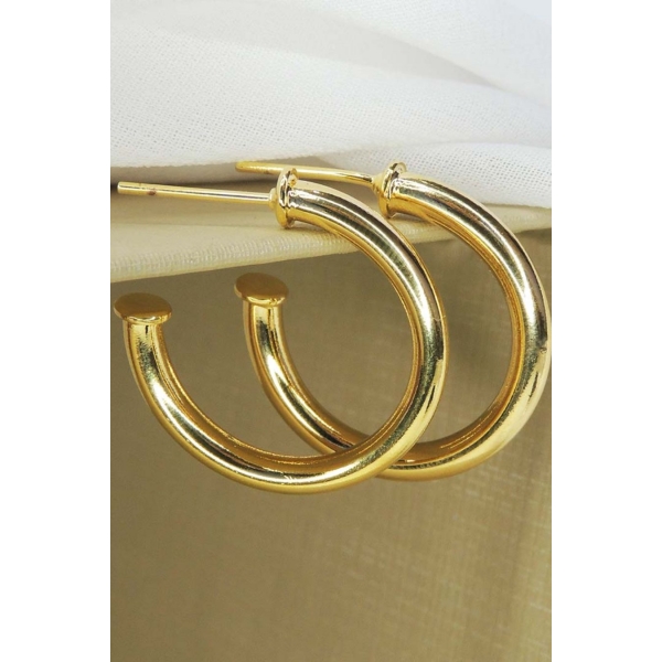 Brinco Argola Grossa Pequena Banhado em Ouro 18k - Dourado