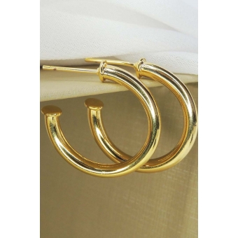 Brinco Argola Grossa Pequena Banhado em Ouro 18k