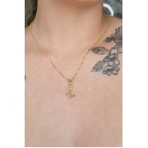 Colar Pingente Borboleta com Zircônia Colorida Banhado em Ouro 18k - Dourado