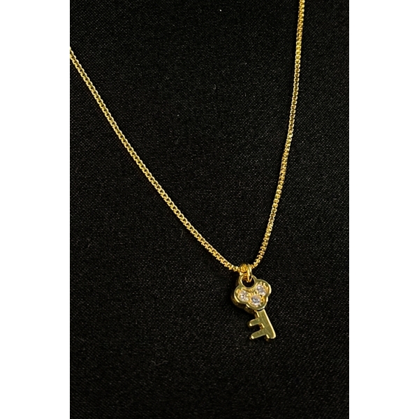 Colar com Pingente Pequeno de Chave Banhado em Ouro 18k - Dourado